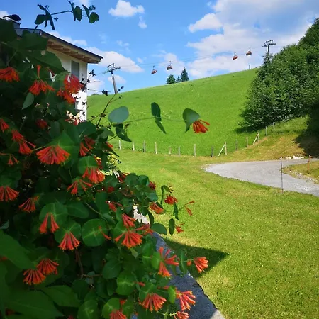 Charming Next To The Lift *