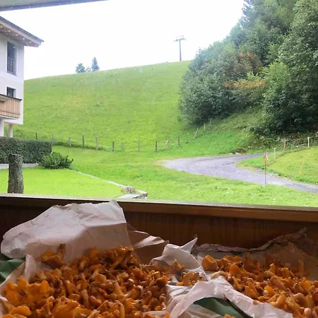 Vakantiehuis Charming Next To The Lift